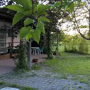 Rose Canine , Cesenatico Italien